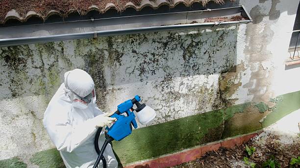 Trusted Mold Remediation service in Geneva, WA - Cheap Mold Removal